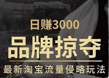 日赚3000+品牌店群，最新淘宝流量侵略玩法（官方售价3600元）-一课资源