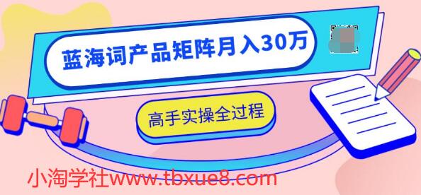 2020最新无货源店群项目，蓝海词产品矩阵月入30万，高手实操全过程（视频教程）-一课资源