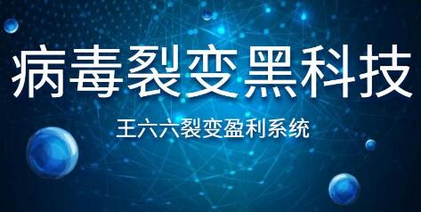 王六六裂变盈利系统课程第六课，病毒裂变黑科技-一课资源