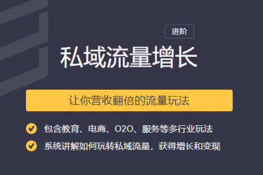 2020私域流量增长让你营收翻倍的流量课程-一课资源