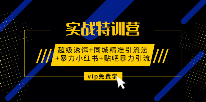 实战特训营:超级诱饵+同城精准引流法+暴力小红书+贴吧暴力引流（视频课程）-一课资源