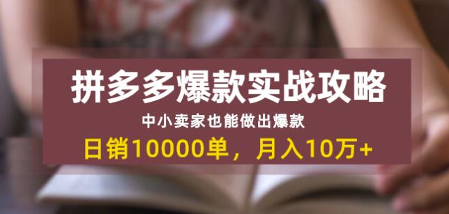 拼多多爆款实战攻略：中小卖家也能做出爆款，日销10000单月入10w+-一课资源