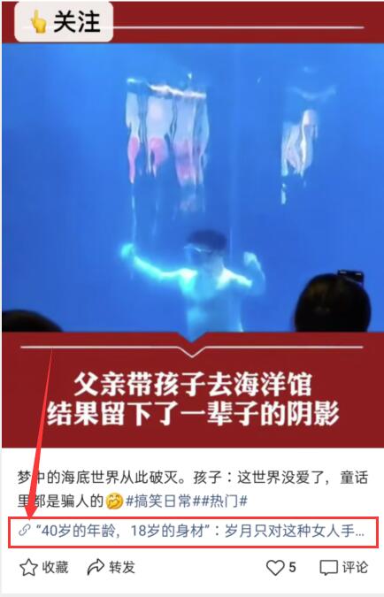 图片[3]-视频号CPS月入10W+ 抢占微信视频号红利-一课资源