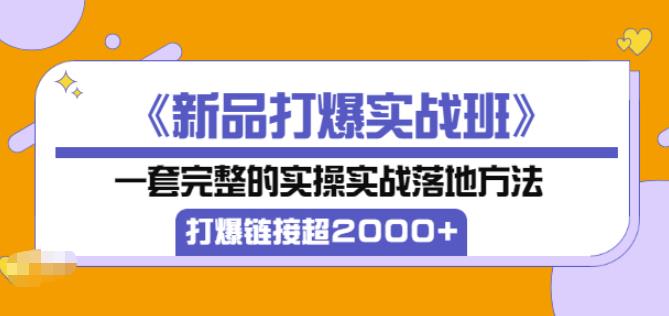 凌童《新品打爆实战班》,一套完整的实操实战落地方法，打爆链接超2000+（28节课)-一课资源