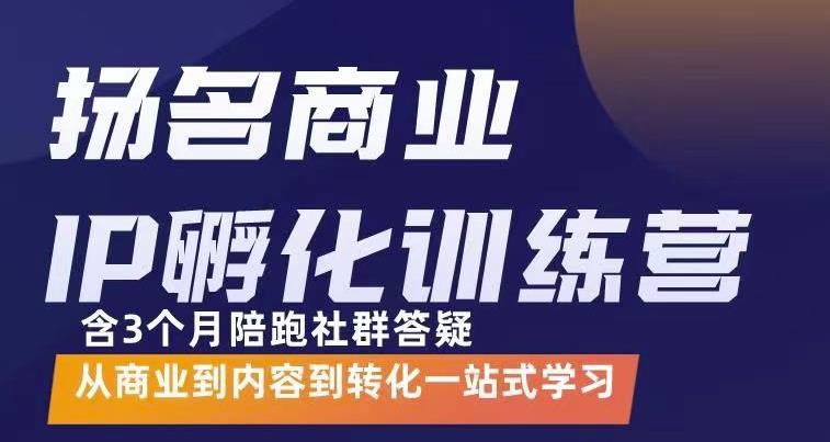 杨名商业IP孵化训练营，从商业到内容到转化一站式学 价值5980元-一课资源