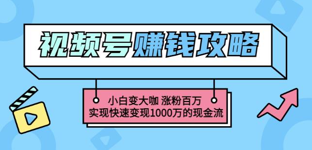 玩转微信视频号赚钱：小白变大咖涨粉百万实现快速变现1000万的现金流-一课资源