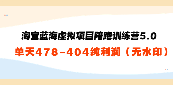 淘宝蓝海虚拟项目陪跑训练营5.0：单天478纯利润-一课资源