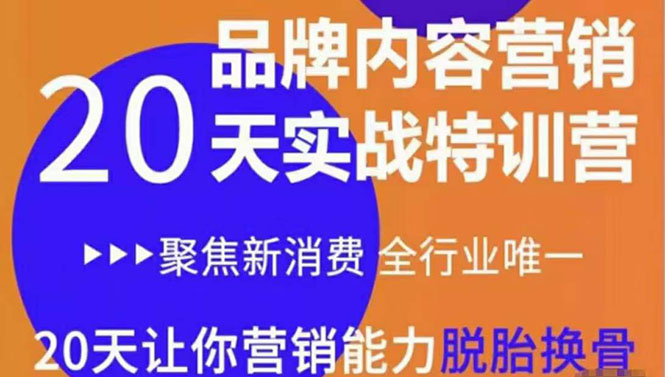 《内容营销实操特训营》20天让你营销能力脱胎换骨（价值3999）-一课资源