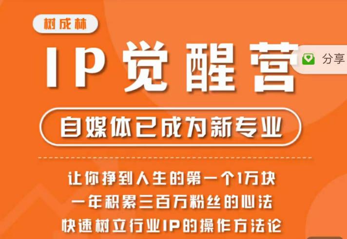 树成林·IP觉醒营，快速树立行业IP的操作方法论，让你赚到人生的第一个1万块（更新）-一课资源