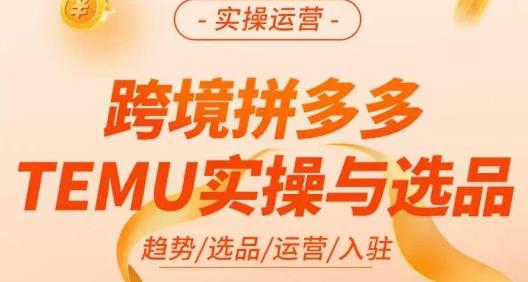 伍跃·跨境拼多多TEMU实操与选品，​趋势/选品/运营/入住（27节完整）-一课资源