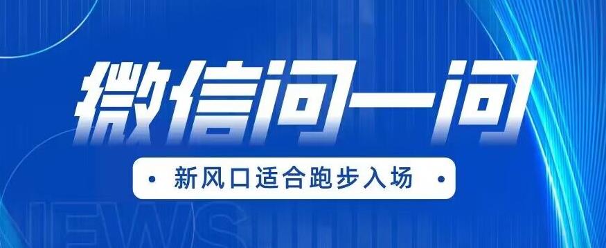 全网首发微信问一问新风口变现项目（价值1999元）【揭秘】-一课资源