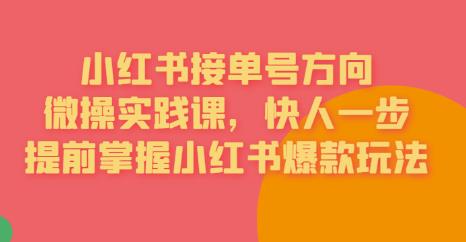 接单号方向·小红书微操实践课，快人一步，提前掌握小红书爆款玩法-一课资源