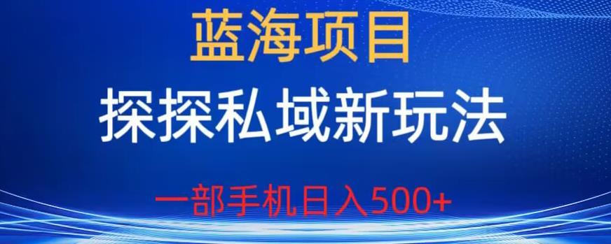 蓝海项目，探探私域新玩法，一部手机日入500+很轻松【揭秘】-一课资源