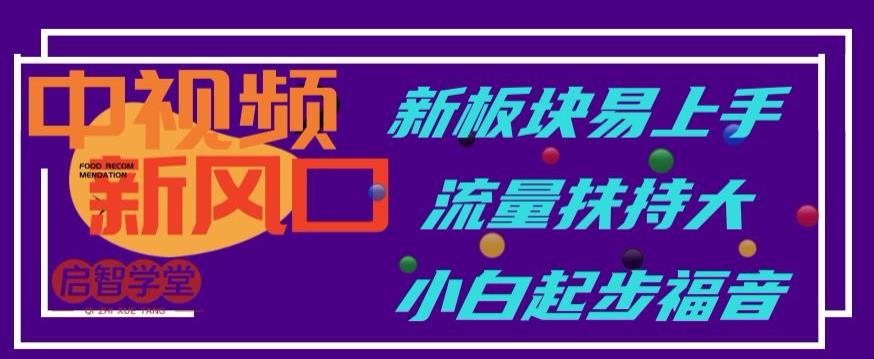 中视频新风口，新板块易上手，流量扶持大，小白起步福音【揭秘】-一课资源
