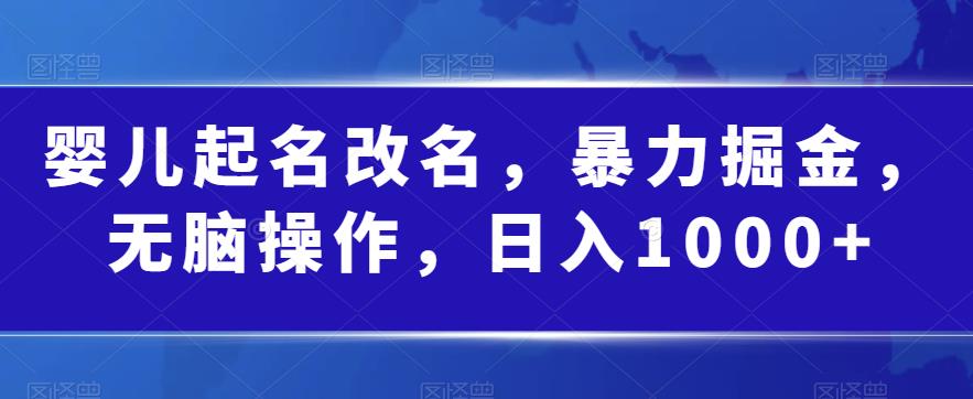婴儿起名改名，暴力掘金，无脑操作，日入1000+【揭秘】-一课资源