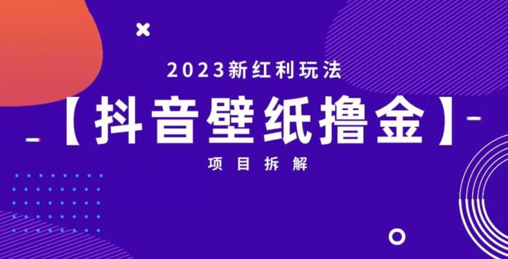 抖音壁纸小程序创作者撸金项目，2023新红利玩法【项目拆解】-一课资源
