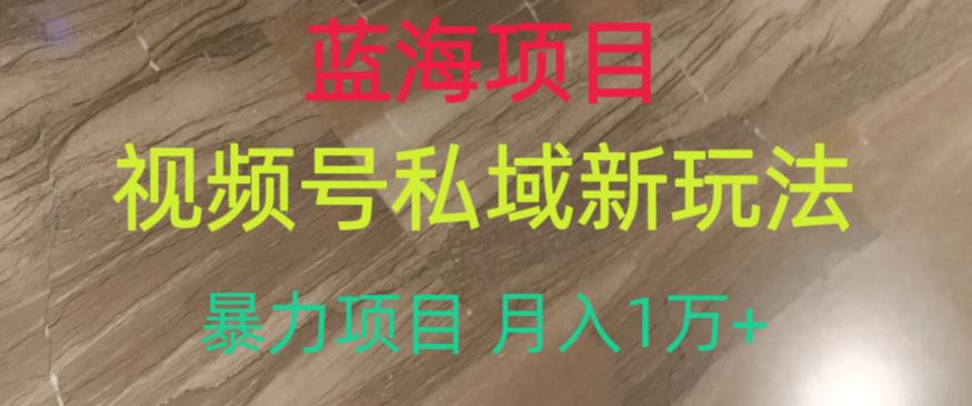 蓝海项目，视频号私域新玩法，暴力项目月入1万+【揭秘】-一课资源