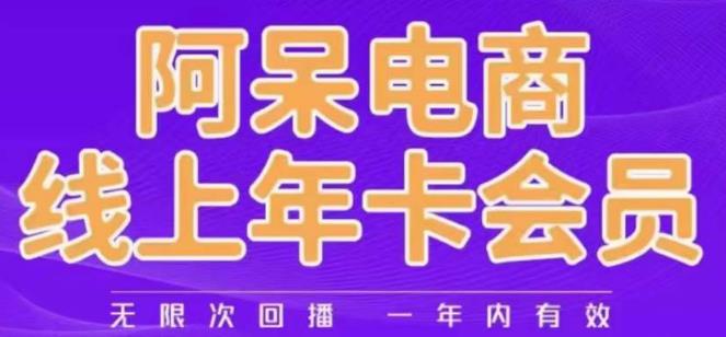 阿呆电商线上年会员，阿呆电商干货分享（更新中）-一课资源