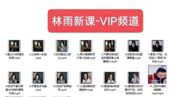 林雨新课VIP频道，玩赚私域/朋友圈/社群-一课资源