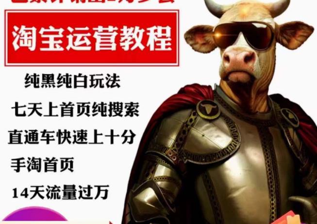 猫老师·淘系算法逆向解密，​纯黑纯白玩法，七天上首页纯搜索，手淘首页14天流量过万-一课资源