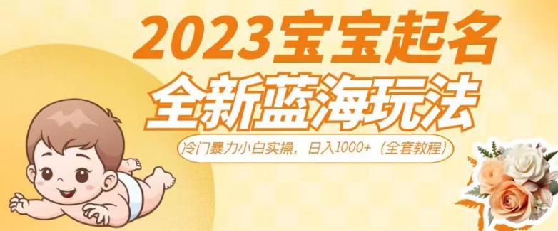 2023宝宝起名全新蓝海玩法，冷门暴力小白实操，日入1000+（全套教程）【揭秘】-一课资源