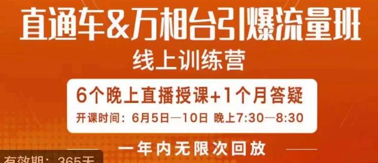 直通车&万相台引爆流量班，6天打通你开直通车·万相台的任督二脉-一课资源