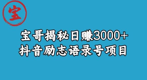 宝哥揭秘日赚3000+抖音励志语录号短视频变现项目-一课资源