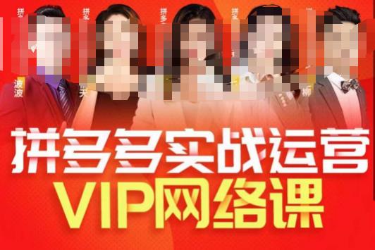 推易拼多多VIP全套直播课程，拼多多店铺实操玩法+实战玩法选款内功+直通车高阶等-一课资源