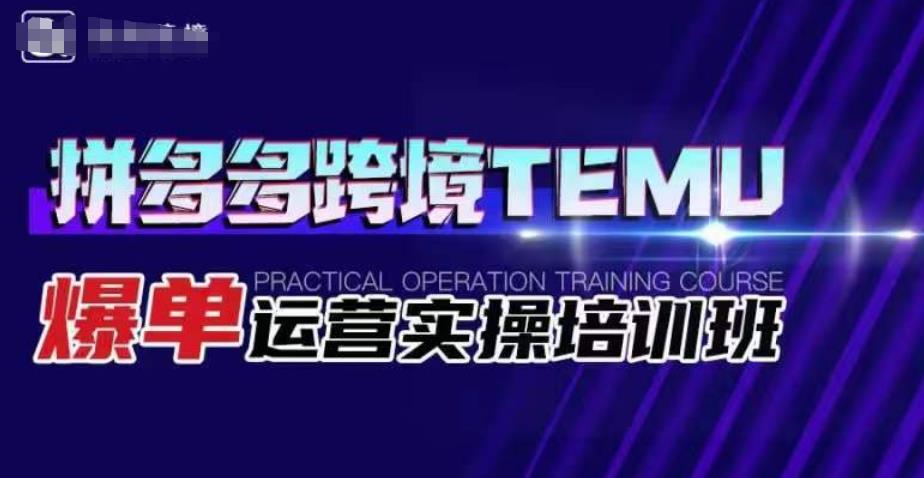 拼多多跨境TEMU爆单运营实操培训班，海外拼多多的选品、运营、爆单-一课资源