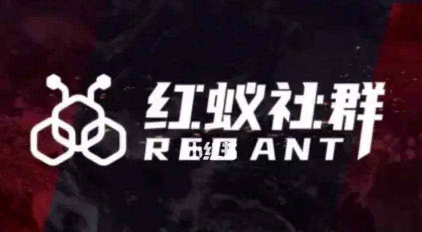 社群运营：红蚁社群【48节落地系统课程+2000人高端社群】-一课资源
