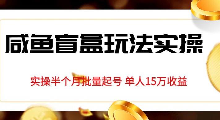 独家首发咸鱼盲盒玩法实操，半个月批量起号单人15万收益【揭秘】-一课资源