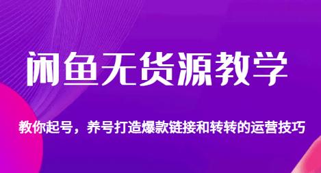 闲鱼无货源教学，教你起号，养号打造爆款链接以及转转的运营技巧-一课资源