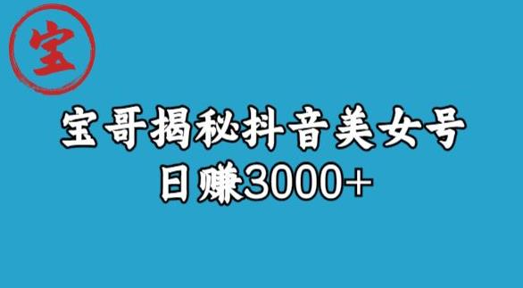 宝哥揭秘抖音美女号玩法，日赚3000+【揭秘】-一课资源