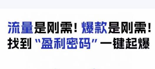 电商盈利精品课：6大盈利密码让产品更好卖，流量是刚需！爆款是刚需！找到”盈利密码”一键起爆-一课资源
