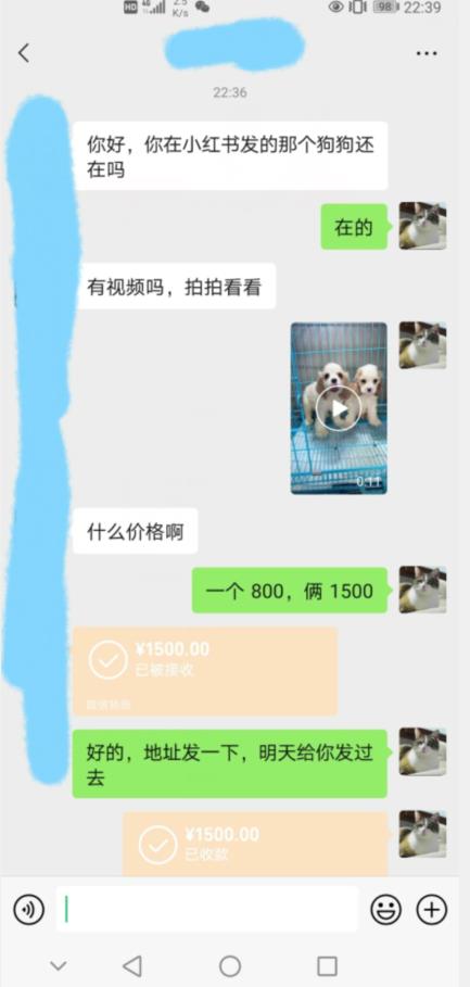 外边收费3980的同城萌宠项目，用最冷门的玩法冲击最热门的市场【揭秘】-一课资源
