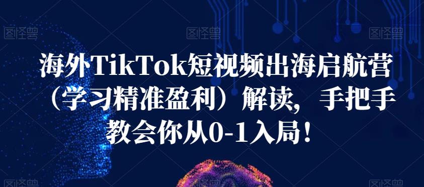 海外TikTok短视频出海启航营（学习精准盈利）解读，手把手教会你从0-1入局！-一课资源