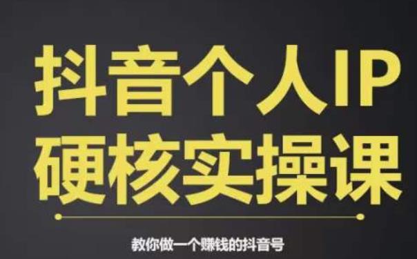 个人IP创富系统实战课，商业定位，流量打造，短视频变现，教你做个赚钱的抖音号-一课资源