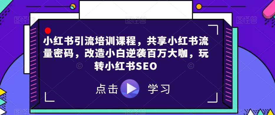 小红书引流培训课程，共享小红书流量密码，改造小白逆袭百万大咖，玩转小红书SEO-一课资源