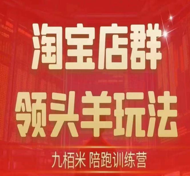 九栢米-淘宝店群领头羊玩法，教你整个淘宝店群领头羊玩法以及精细化/终极蓝海/尾销等内容-一课资源