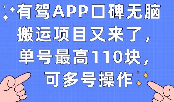 有驾APP口碑无脑搬运项目又来了，单号最高110块，可多号操作-一课资源