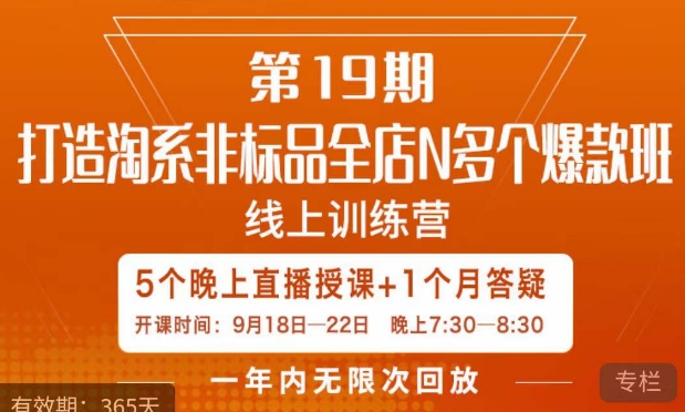 打造淘系非标全店N多个爆款线上课，​5天直播课-一课资源