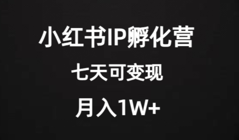 价值2000+的小红书IP孵化营项目，超级大蓝海，七天即可开始变现，稳定月入1W+-一课资源