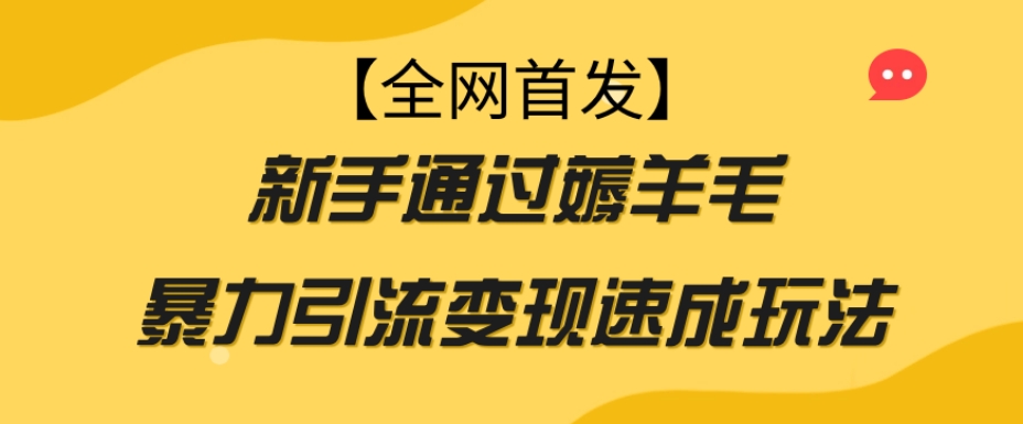 【全网首发】新手通过薅羊毛暴力引流变现速成玩法-一课资源
