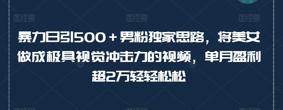 暴力日引500＋男粉独家思路，将美女做成极具视觉冲击力的视频，单月盈利超2万轻轻松松-一课资源
