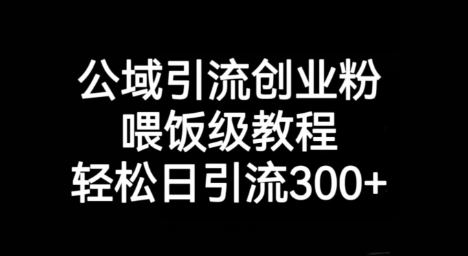 公域引流创业粉，喂饭级教程，轻松日引流300+【揭秘】-一课资源