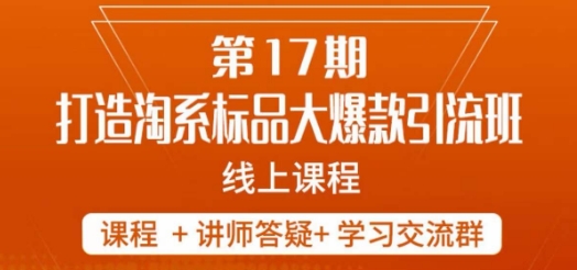 南掌柜-第17期打造淘系标品大爆款，5天线上课-一课资源