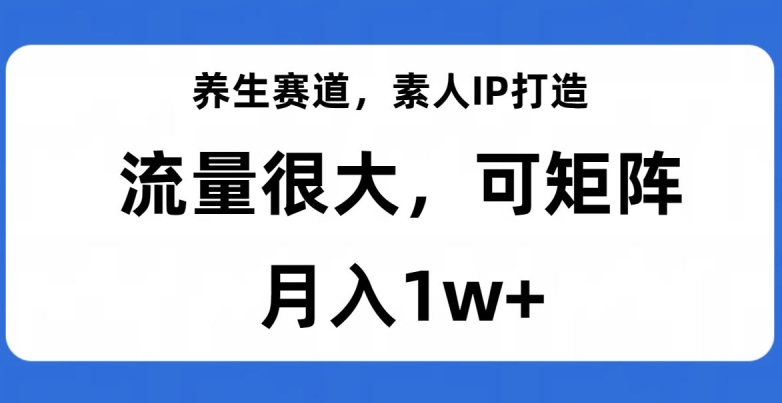 养生赛道，素人IP打造，流量很大，可矩阵，月入1w+【揭秘】-一课资源