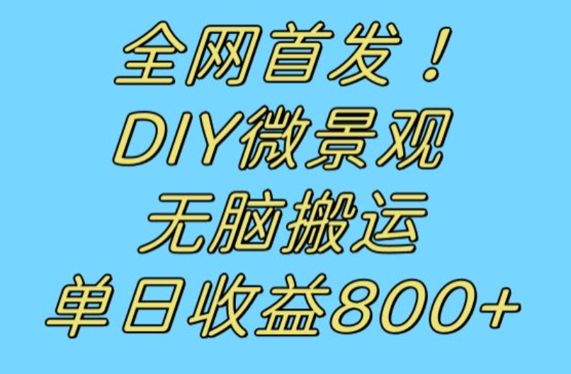 全网首发冷门赛道！DIY微景观，无脑搬运视频，日收益800+【揭秘】-一课资源