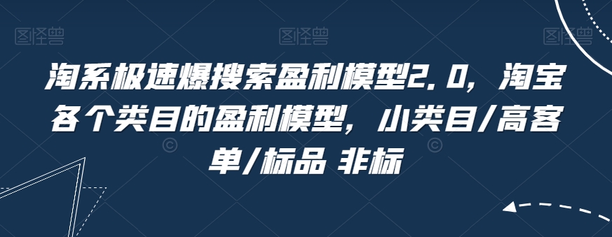 淘系极速爆搜索盈利模型2.0，淘宝各个类目的盈利模型，小类目/高客单/标品 非标-一课资源