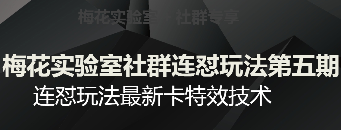 梅花实验室社群连怼玩法第五期，视频号连怼玩法最新卡特效技术-一课资源
